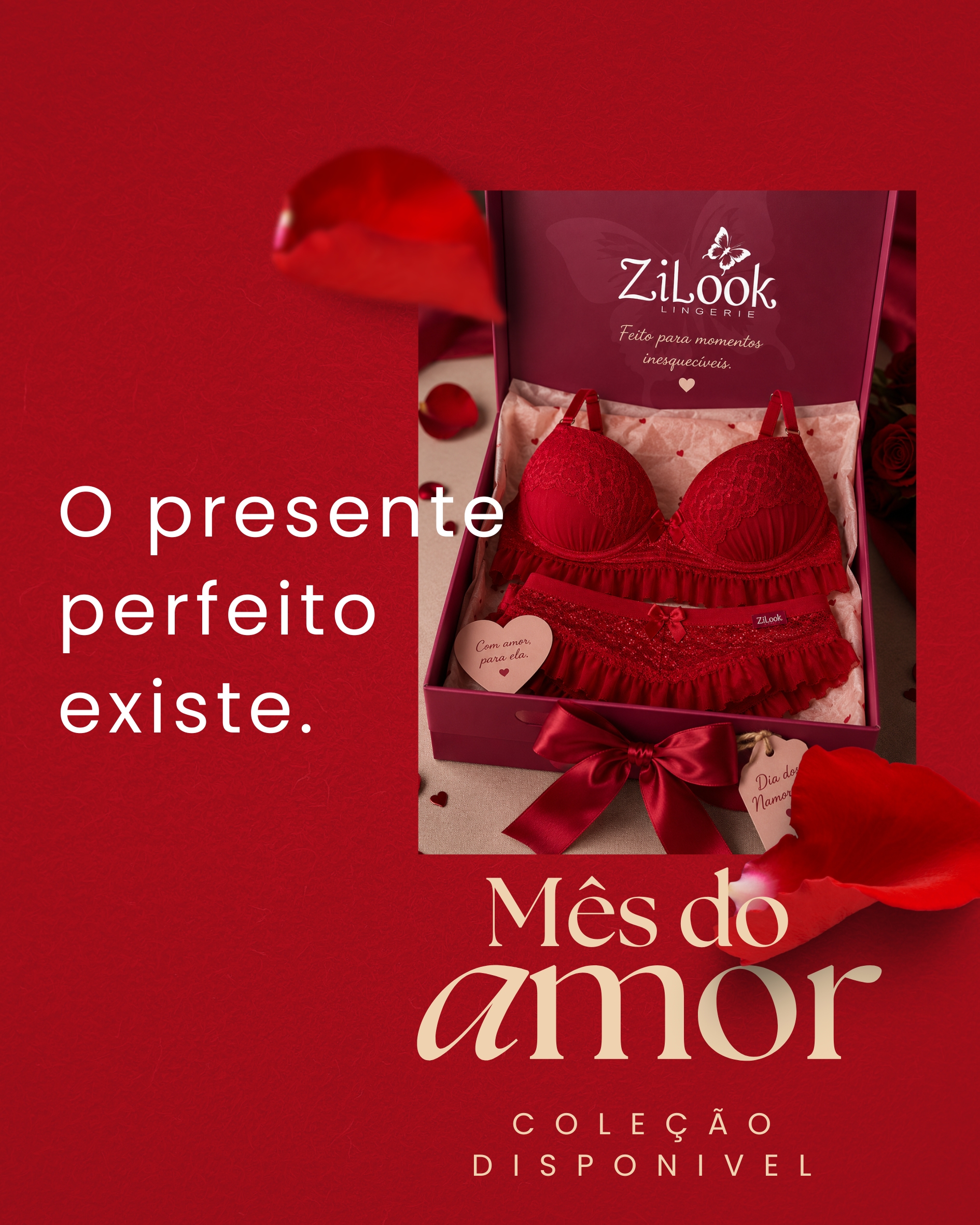 Coleção Zilook